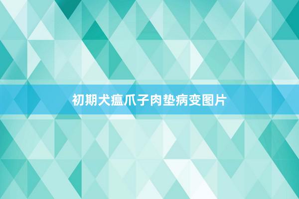 初期犬瘟爪子肉垫病变图片